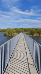 Pedestrian bridge over calm waterway documented in Ivano-Frankivsk