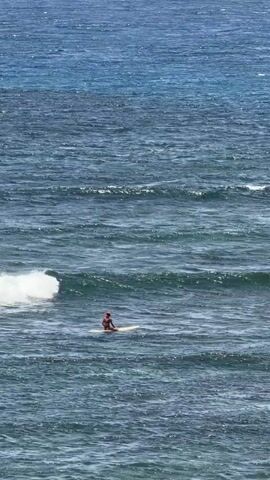 A person is sitting on a surfboard in the ocean.  The ocean is blue and slightly choppy. The person is positioned facing the camera, riding a small wave.