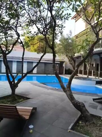 The video shows an outdoor swimming pool area with a building in the background. The pool is blue and appears to be clean. There are lounge chairs next to the pool, and trees provide shade. The building in the background has a traditional architectural style. The scene appears to be tranquil and inviting.