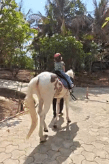 Child enjoys guided pony ride in Kalote Mokashi