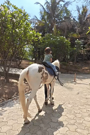 Child enjoys guided pony ride in Kalote Mokashi