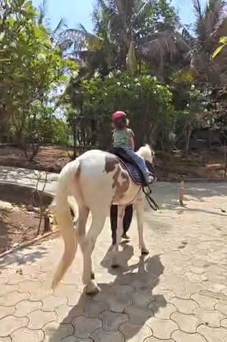 Child enjoys guided pony ride in Kalote Mokashi