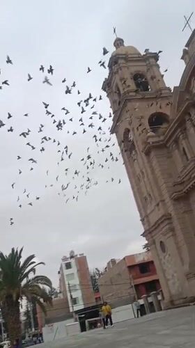 Evening scenes documented around Tacna Peru city center