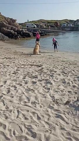 A dog sits on a sandy beach. A person wearing a pink shirt and black shorts stands to the left of the dog, facing it. A child wearing a pink hat and dark clothing stands to the right of the dog, facing it and gesturing towards it. The water is visible in the background, along with a rocky shoreline, some parked vehicles, and buildings. The sand is rippled with footprints.