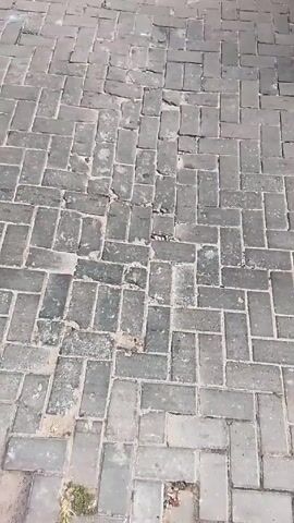 The video shows a person walking on a brick-paved sidewalk, then filming a tanker truck driving down the street. A man walks in the background. The video then returns to filming the brick-paved sidewalk.