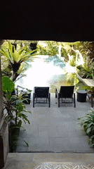 Turquoise pool amid tropical foliage observed from indoor location
