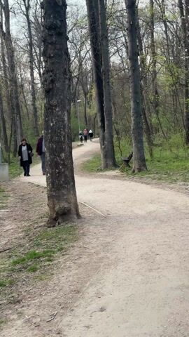 The video captures a leisurely walk along a winding dirt path in a wooded park. The scene appears to be set in early spring, as many deciduous trees lining the path are still mostly bare, though some show nascent green leaves. The ground is covered with light-colored dirt or gravel, and patches of green grass are visible on either side of the path.

At the beginning of the video, a woman with dark hair, wearing a dark jacket, a light-colored top, and dark pants, is walking away from the camera on the left side of the path, using a walking stick. In the distance, several other people can be seen on the path.

Around the 0:01 mark, a man, who appears to be bald or has a very short haircut, wearing a maroon or dark red jacket over a lighter shirt and dark pants, emerges from the background and begins walking towards the camera. He has a pleasant expression, smiling faintly. As he walks, he approaches the woman with the walking stick.

By 0:03, the man is walking parallel to the woman, still moving towards the camera. The woman continues to walk slowly, occasionally adjusting her grip on her walking stick. The man looks towards the woman and smiles.

As they reach the foreground, around 0:05, both individuals walk past the camera, moving towards the bottom-left of the frame. The man gives a slight nod as he passes. The camera then pans slightly to the right, showing more of the winding path as it recedes into the distance, with other park-goers further along. Benches are visible beside the path, and lampposts stand amongst the trees, suggesting a well-maintained public area. The overall atmosphere is calm and peaceful, characteristic of an afternoon stroll in a park.