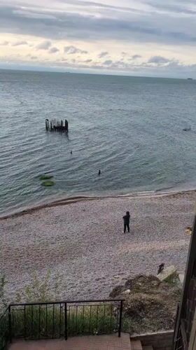 Visitor documents leisurely morning at Odesa pier with snacks
