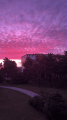 Vivid pink and purple sunset settles over a city park