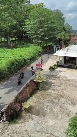 An aerial drone shot shows a paved road running through a rural landscape. On the left side of the road is a vibrant green field, possibly tea plantation, bordered by lush trees and vegetation. On the right side of the road, there is a white building with an open-air seating area, suggesting it could be a cafe or restaurant. A few motorcycles are seen traveling on the road, some with riders. A red sign with white text is visible on a pole along the road. The overall environment is natural and serene, with a mix of cultivated land and dense foliage. A tall telecommunications tower is visible in the background.