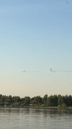 Peaceful lake views captured near Rusanovo settlement, Russia