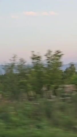 The video shows a blurred view of trees and hills passing by, suggesting movement, possibly from a vehicle. The sky is visible with a hint of pink and pale blue, indicating it might be dusk or dawn. The greenery of the trees and foreground is dominant, with a slightly hazy quality to the distant hills. There are no people or specific objects clearly identifiable due to the motion blur.