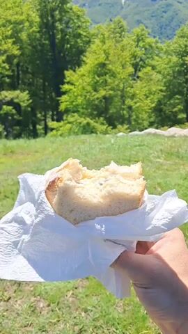 A hand holds a piece of bread in a white paper napkin against a backdrop of a grassy hill, trees, and mountains with patches of snow on a sunny day with a clear blue sky. A blue trail sign is visible on a post.