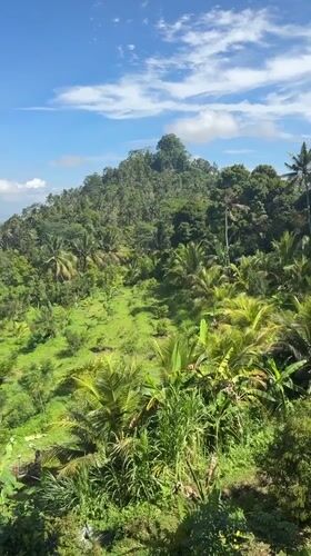 Morning drive captures lush tropical landscape near Rendang, Indonesia