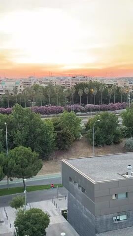 The video shows a cityscape at sunset. The sky is a gradient of orange, yellow, and pink. In the foreground, there is a modern building with a gray facade. Beyond the building, there are trees, palm trees, and a row of flowering bushes. In the distance, there are more buildings. The sun is setting behind the city, casting a warm glow. A person can be seen jogging on a path in the distance.