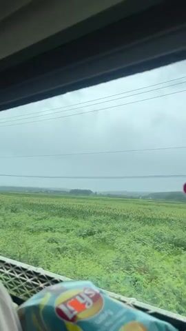 The video offers a view from inside a moving vehicle, looking out a window at a rural landscape under an overcast sky. In the foreground, a person's lap, clad in light-colored fabric, is visible on the left side of the frame, along with a bag of Lay's potato chips in the bottom right corner. The Lay's logo and some Thai text are visible on the chip bag.

Outside the window, vast green fields, appearing to be cultivated crops such as corn, extend towards the horizon. Several utility poles with power lines run across the frame, dividing the sky from the fields. Faint hills or mountains are visible in the distant background. The sky is uniformly grey and cloudy, indicating overcast weather, possibly suggesting an impending or recent rainfall. The scene depicts a moment of travel through the countryside, potentially in the Dak To region of Vietnam.