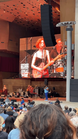 Chicago Blues Festival draws crowds to Millennium Park performance