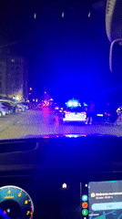 Late night Sofia scenes: police lights, cat petting, shawarma restaurant