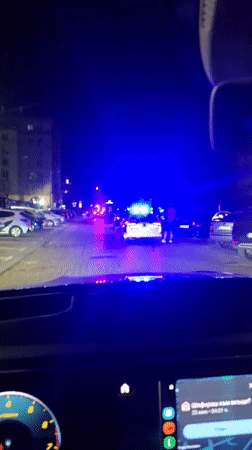 Late night Sofia scenes: police lights, cat petting, shawarma restaurant