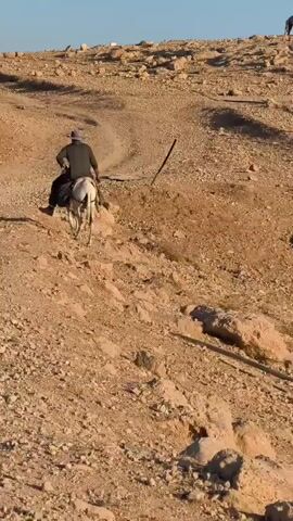 A person wearing a hat and dark clothing rides a white donkey on a dirt path. The donkey is walking away from the camera, and the rider is facing away from the camera. The path is surrounded by a dry, rocky landscape. In the background, there are some makeshift structures and a clear blue sky. Another person, dressed in dark clothing, is walking on the left side of the path, also facing away from the camera.