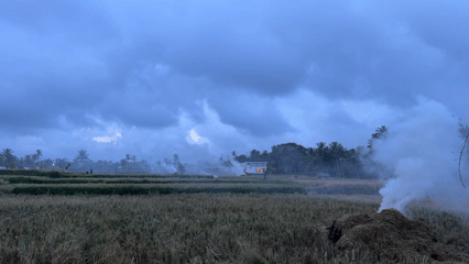 Ordinary moments captured across Tampaksiring during Friday morning