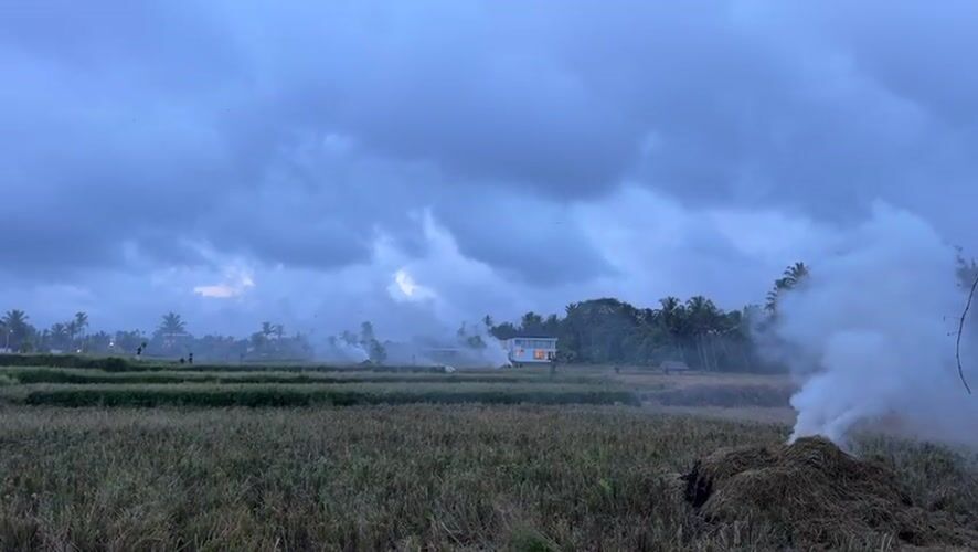 Ordinary moments captured across Tampaksiring during Friday morning