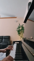 A cozy Woodburn home, piano playing and pasta on the stove