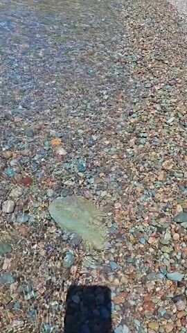 The video shows a close-up view of a pebble beach with clear water gently lapping at the shore. The pebbles are of various sizes, shapes, and colors, including shades of gray, brown, red, blue, and green. A large, light-colored, flat stone is visible partially submerged in the water. The shadow of a person holding a phone is cast on the pebbles in the foreground, suggesting the video is being recorded by someone standing near the water's edge. The water is transparent, allowing the detailed texture of the pebbles beneath the surface to be seen. The sunlight creates dappled reflections on the water's surface. The overall scene is tranquil and natural, highlighting the simple beauty of a rocky shoreline.