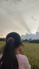 Quiet moments captured in Indonesian rice fields and treats