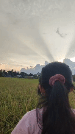 Quiet moments captured in Indonesian rice fields and treats