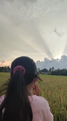 Quiet moments captured in Indonesian rice fields and treats