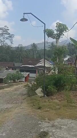 The video shows a view of a rural area. In the foreground, there is dirt and some sparse vegetation. A satellite dish is visible on the left side of the frame. In the middle ground, there are some buildings with corrugated roofs, surrounded by trees and foliage. A tall, slender tree with a distinctive, heart-shaped canopy stands prominently. In the background, there are rolling hills covered in greenery, and a hazy sky with clouds. The overall impression is of a quiet, undeveloped landscape. The video appears to be filmed from a moving vehicle or handheld camera, as there is some slight shakiness.