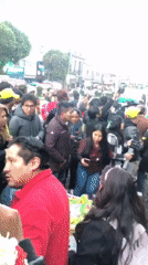 Political march supports Erland Alvarez candidacy in La Paz