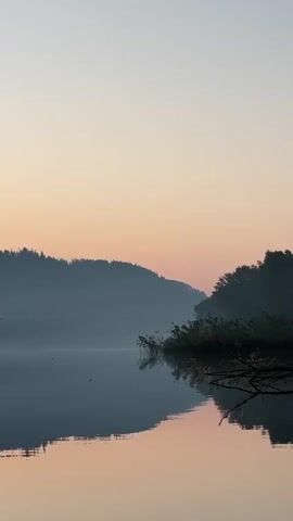 A tranquil lake scene at dawn or dusk. The sky is a soft gradient of pale pink and orange, fading into a clear, light blue. Mist hangs low over the distant, forested hills that frame the lake. The water is calm and reflects the sky and hills with a soft, muted hue. A cluster of dark green foliage, possibly reeds or bushes, juts out into the water on the right side, with a fallen branch lying across it. A small, faint pink object appears momentarily in the sky, and a tiny bird or insect can be seen flying in the distance on the left. There are no people or clear man-made objects visible. The overall impression is one of stillness and natural beauty.