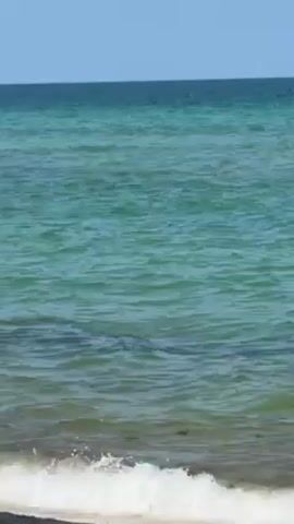 The video shows a view of the ocean on a clear day. The water is a mix of turquoise and deeper blue hues, with gentle waves lapping at the sandy shore. The horizon is visible, with a clear blue sky above. The scene appears peaceful and serene.