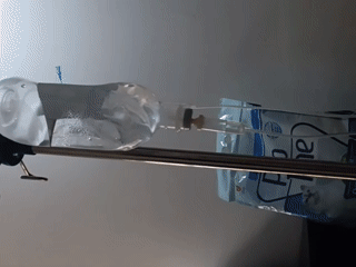 Calico kitten receives IV treatment at Nairobi veterinary clinic