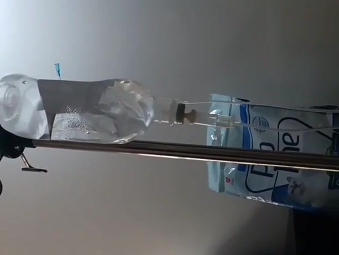Calico kitten receives IV treatment at Nairobi veterinary clinic