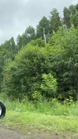 The video shows a view from inside a car driving on a road lined with trees. The sky is overcast. In the side mirror, a person's face is visible. The road ahead has pedestrian crossing signs on both sides. The car is approaching a white car.