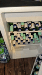 Person documents bottles, takes forest selfie in Vsevolozhsk