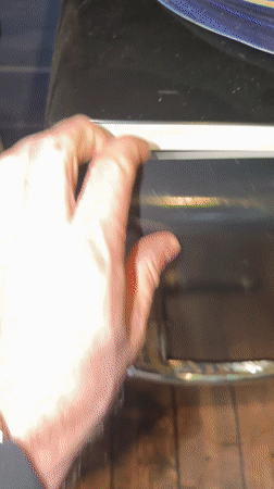 Person documents bottles, takes forest selfie in Vsevolozhsk