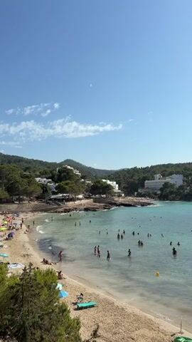 This is a vertical, eye-level, outdoor, daytime video of a crowded beach on a sunny day. The beach is a crescent shape with golden sand and clear, turquoise water. In the foreground, there are some green bushes and pine trees on the left and right edges of the frame. The sand is dotted with people sunbathing on towels and lying on lounge chairs. Some people are wading into the water, while others are swimming and playing in the shallow waves. A few people are walking along the shoreline.

In the midground, the water is filled with swimmers. There are many individuals and small groups visible enjoying the water. A yellow buoy floats in the sea. Beyond the beach, there is a resort or hotel complex with white buildings nestled among green, tree-covered hills. The architecture suggests a Mediterranean style. The sky is a vibrant blue with a few scattered white clouds.

The overall mood is relaxed and joyful, characteristic of a summer vacation destination. The bright sunshine and clear water suggest warm, pleasant weather. The location cues, such as the architecture and the abundant greenery, along with the provided context of Sant Joan de Labritja, Spain, indicate a European coastal setting, likely on an island like Ibiza, known for its beautiful beaches and resorts. There is no visible text in the video.