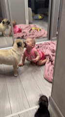 Family moments with baby, dogs captured in Krasnodar home
