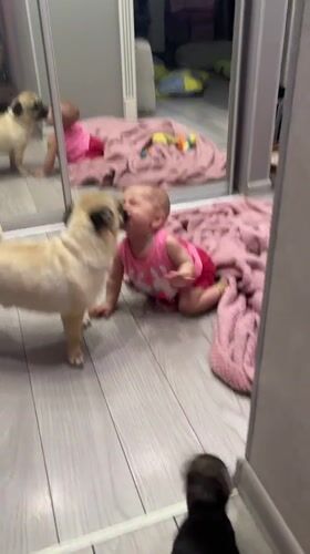 Family moments with baby, dogs captured in Krasnodar home