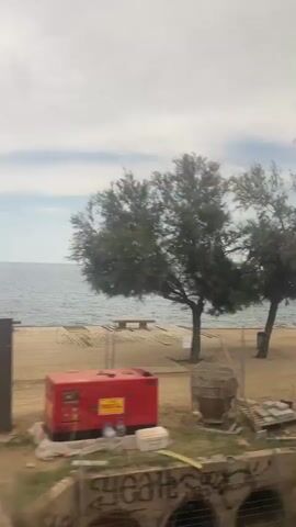 This video captures a view from a moving vehicle, likely a train, looking out towards a body of water, likely the sea. The foreground is dominated by blurred green vegetation, suggesting the vehicle is traveling alongside a coastline with abundant plant life. In the mid-ground, a few trees are visible, their shapes softened by the motion. The sea stretches out to the horizon, meeting a pale sky with scattered clouds. At one point, a small construction site with a yellow excavator and a person is briefly visible by the water's edge, indicating some activity or development near the coast. Further along, a lone bench is seen along the shoreline, implying a public area or promenade. The overall impression is one of a journey along a scenic coastal route.
