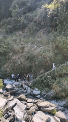 Early morning tourism and foraging activities documented in Bhagsu region