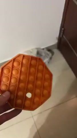 The video shows a fluffy, light gray cat playing with an orange octagon-shaped pop-it toy on a light beige tiled floor. The cat is lying near the corner of a white wall and a dark brown wooden door. Someone drops the pop-it toy near the cat, and the cat begins to interact with it, batting it with its paws and chewing on it.
