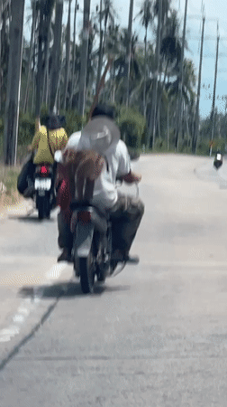 Ko Samui District, Thailand