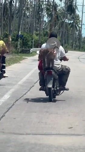 Ko Samui District, Thailand
