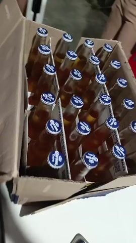 A cardboard box is full of Corona beer bottles. The bottles are arranged neatly in rows and columns. The camera moves slightly, showing the bottles from different angles. People are standing nearby, though their faces are not clearly visible. The background includes a red chair, some potted plants, and a partially visible white wall. There appears to be some casual conversation in the background.