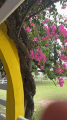 Touring a quirky themed attraction in Na Chom Thian, Thailand